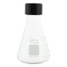 MATRAZ ERLENMEYER 250ML CON TAPON DE ROSCA