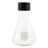 MATRAZ ERLENMEYER 250ML CON TAPON DE ROSCA